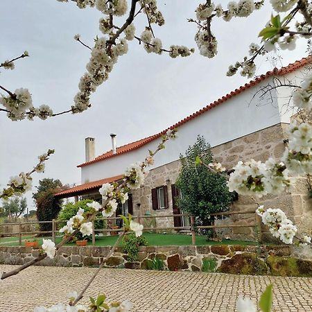 A Casa Do Soito Villa Oliveira do Hospital Eksteriør bilde