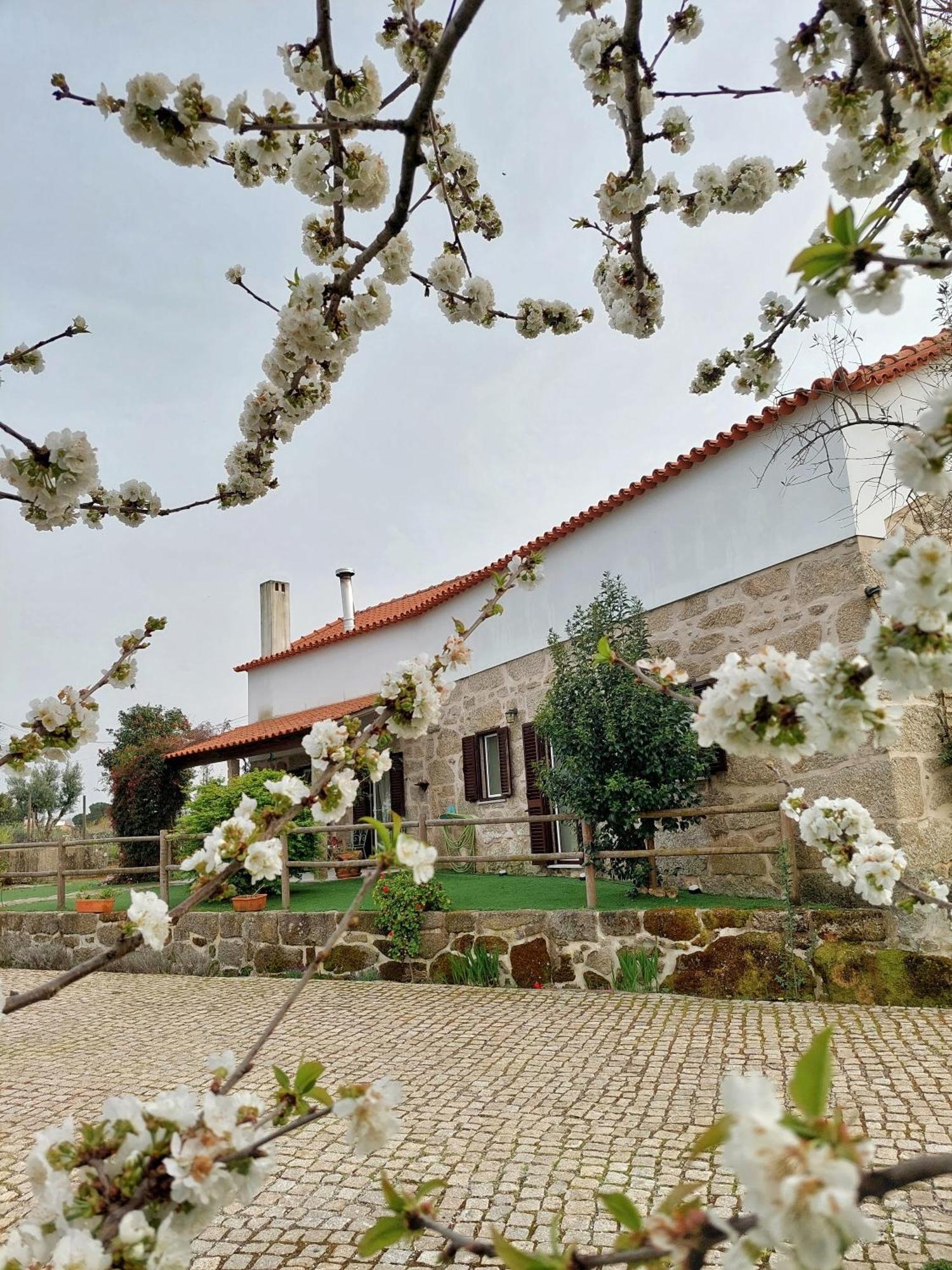 A Casa Do Soito Villa Oliveira do Hospital Eksteriør bilde
